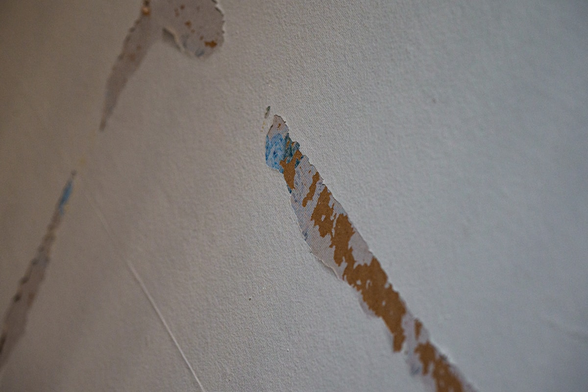 Flood Cleanup service in Surprise, AZ